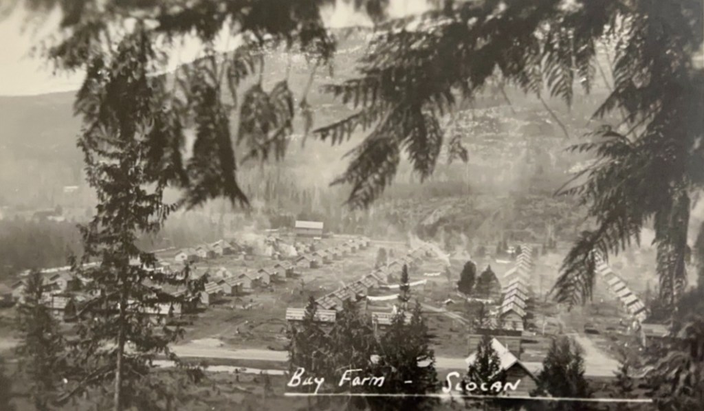 Intergenerational Healing and the Japanese Canadian Internment of WWII